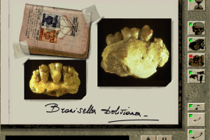 Aux Origines de l'Homme 13