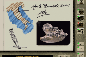 Aux Origines de l'Homme 4