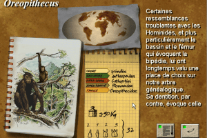 Aux Origines de l'Homme 6