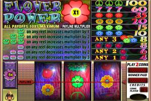 Avery Cardoza's 500 Slots & Video Poker 11