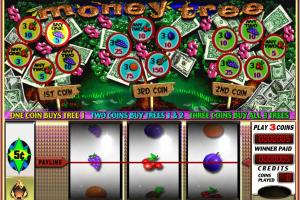 Avery Cardoza's 500 Slots & Video Poker 16