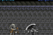 AVP: Alien vs. Predator 6