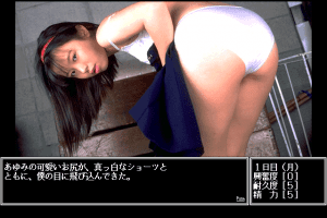 Ayumi-chan Monogatari: Jisshaban abandonware