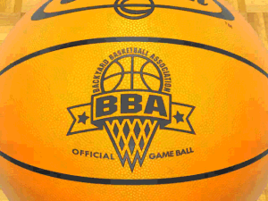 Backyard Basketball 0