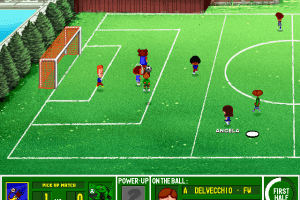 Backyard Soccer 16