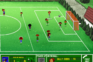 Backyard Soccer 17