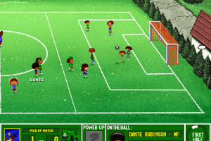 Backyard Soccer 18