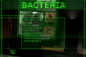 Bacteria 14