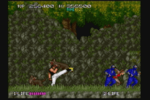 Bad Dudes 13