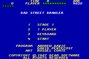 Bad Street Brawler 0