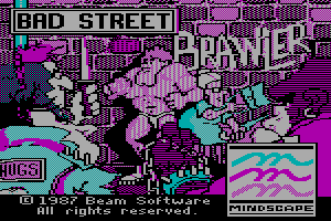 Bad Street Brawler 16