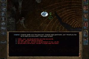 Baldur's Gate II: Throne of Bhaal 13