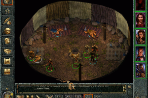 Baldur's Gate 14