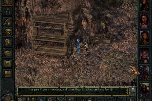 Baldur's Gate 20