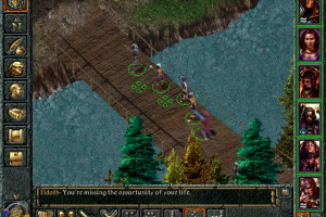 Baldur's Gate 26