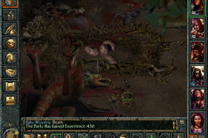 Baldur's Gate 27