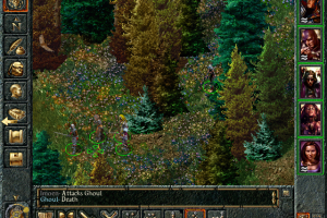 Baldur's Gate 36