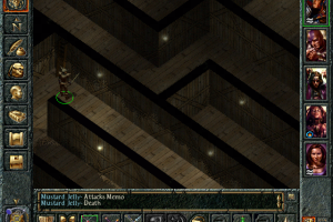 Baldur's Gate 38