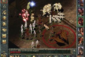 Baldur's Gate: Tales of the Sword Coast 6