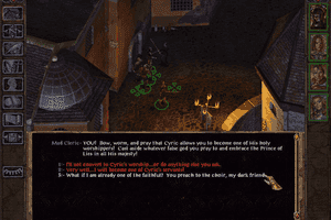 Baldur's Gate II: Shadows of Amn 14