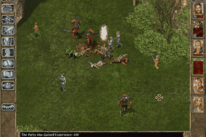 Baldur's Gate II: Shadows of Amn 17