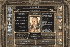 Baldur's Gate II: Shadows of Amn 8