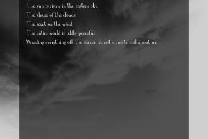 Ballad of an Evening Butterfly 4
