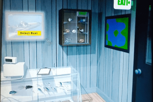 Bass Pro Shops: Official Bass Tournament 3D 2