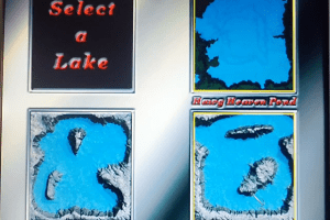 Bass Pro Shops: Official Bass Tournament 3D 4