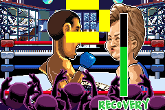 Battle for the White House abandonware