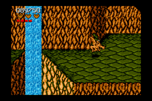 Battletoads 9
