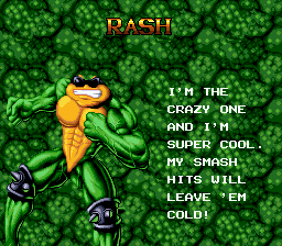 Battletoads / Double Dragon (1993) - MobyGames