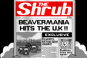 Beavers 4