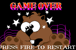 Beavers 11