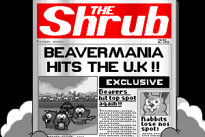 Beavers 1