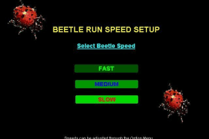 Beetle Run 5