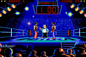 Best of the Best Championship Karate 20