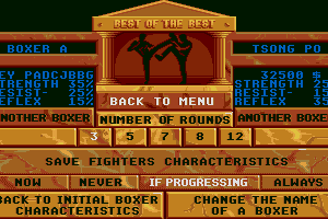 Best of the Best Championship Karate 4