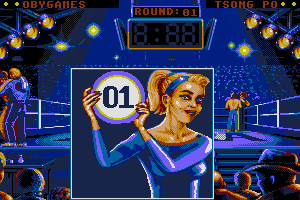 Best of the Best Championship Karate 5