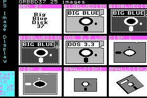Big Blue Disk #37 1