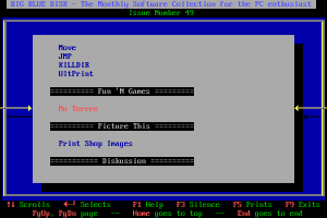 Big Blue Disk #49 abandonware