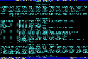 Big Blue Disk #75 9