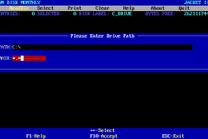 Big Blue Disk #76 2
