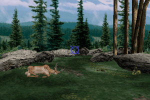 Big Buck Hunter 3