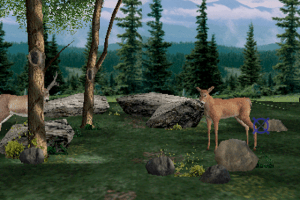 Big Buck Hunter 7