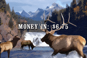 Big Buck Hunter 2006: Call of the Wild 0