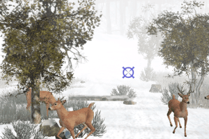 Big Buck Hunter 2006: Call of the Wild 4