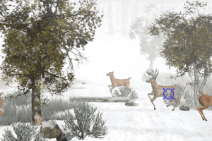 Big Buck Hunter 2006: Call of the Wild 5