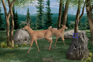 Big Buck Hunter II: Sportsman's Paradise 2