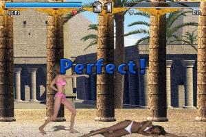Bikini Karate Babes 8